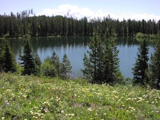 Bearpaw_Lake_Grand_Teton_National_Park.jpg